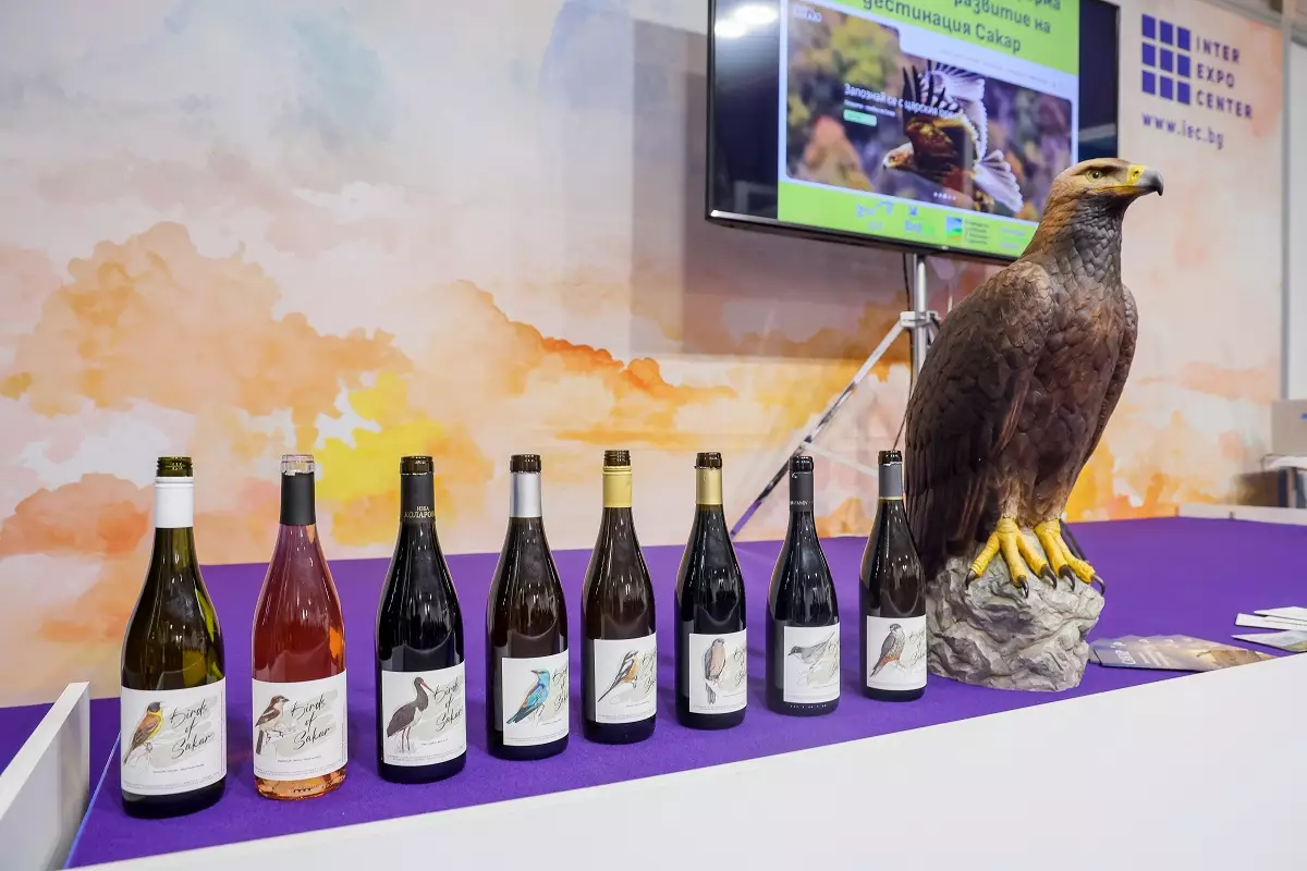 20260212-IEC_208_malka