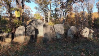 Клифтинова нива