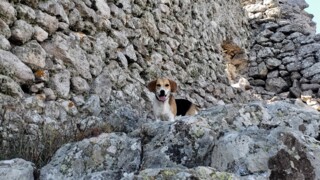 Останки от крепост Скутарион