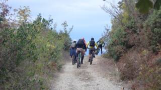 Веломаршрут Коларово - Доситеево