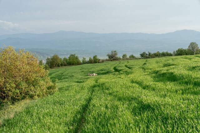 Планината Сакар