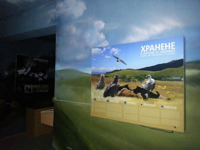 Природозащитен център “Източни Родопи”