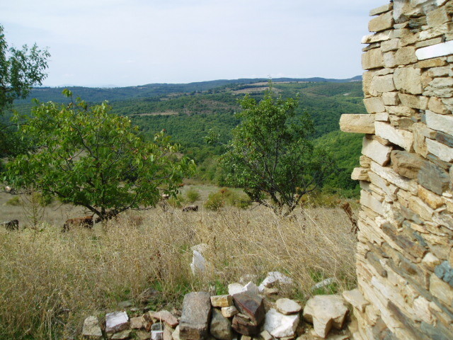 Крепост Родостица