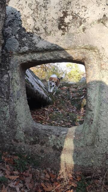 Долмен Левка