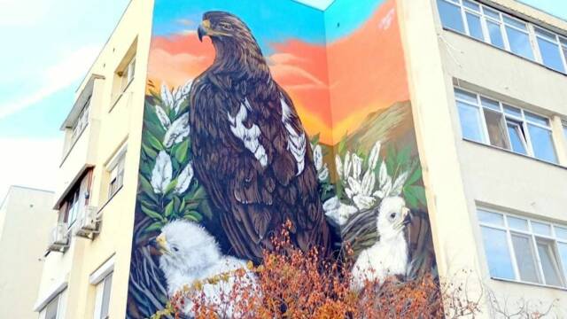 Графит на царски орел