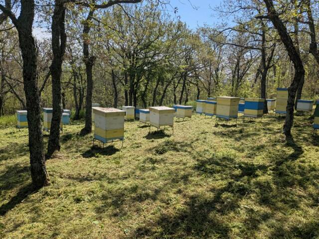 Пчелно стопанство "Панови"