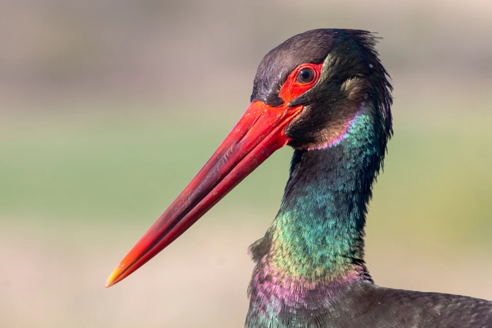 Природни забележителности